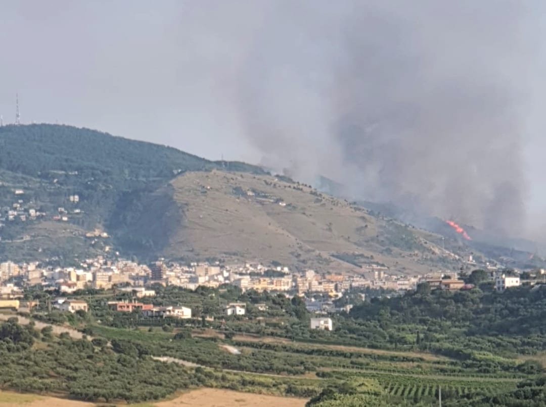 Brucia monte Bonifato, fiamme vicine alla riserva. Innesco in favore di vento, all'opera velivoli
