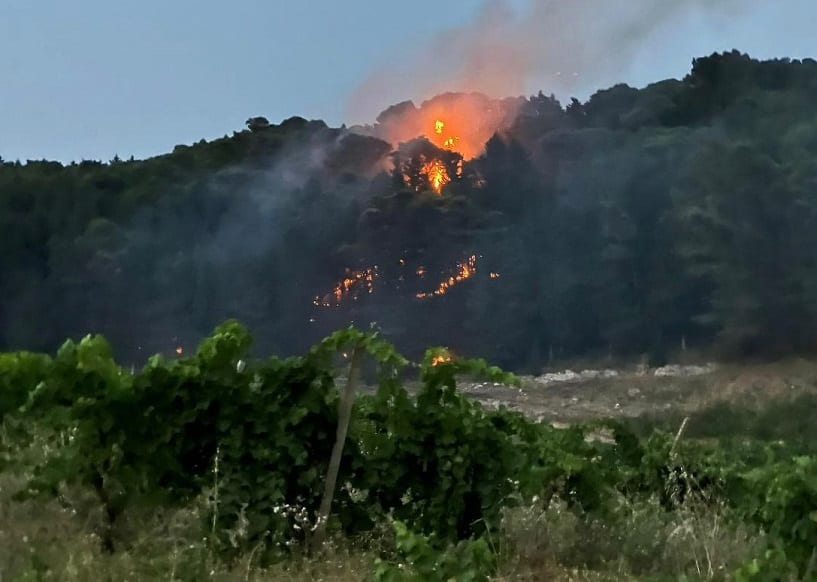 Fiamme sul monte Bonifato, ancora all'opera canadair ed elicotteri. Sottobosco non pulito alimenta fiamme