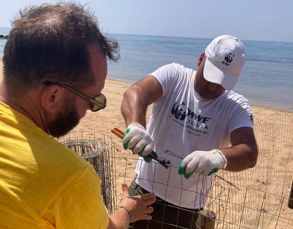 Prima San Vito Lo Capo ed ora Triscina, le tartarughe marine depongono uova nel trapanese
