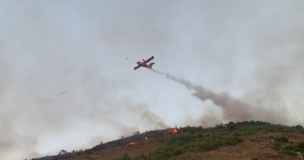 Rogo su Monte Bonifato domato, partita bonifica. Certa la causa dolosa. 170 ettari bruciati
