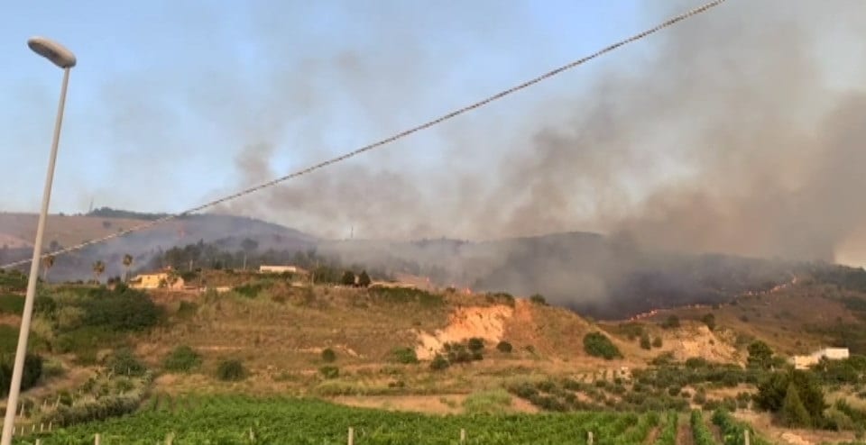 Rogo sul Monte Bonifato, il silenzio degli ambientalisti alcamesi