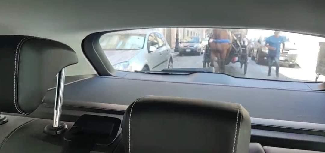 Cocchieri palermitani inseguono Enrico Rizzi, costretto a sfrecciare in auto in ZTL