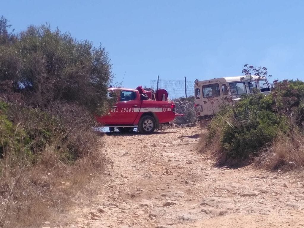 Incendio nei pressi della pineta di Levanzo. Forgione sul posto (INTERVISTA)