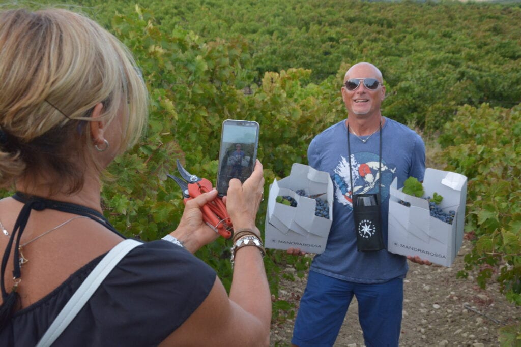 Regolamentata vendemmia turistica, esperienza coinvolgente e formativa