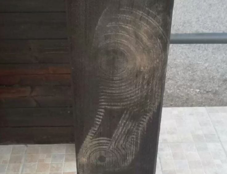 Vandali attaccano Madonna del Villaggio dei pescatori di Terrasini