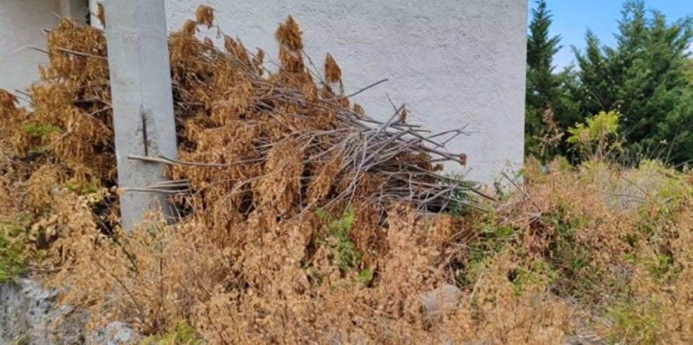 Pellegrinaggi alla Madonna dell'Alto, sentieri e aree interdetti. Cataste secche sulla strada