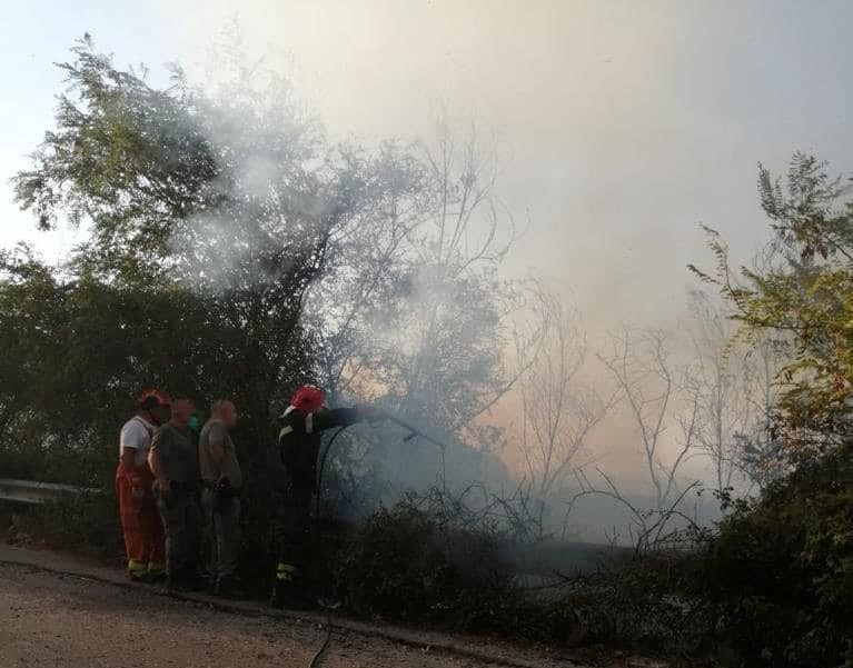 Domate fiamme a Carini. Sindaco ringrazia volontari della protezione civile