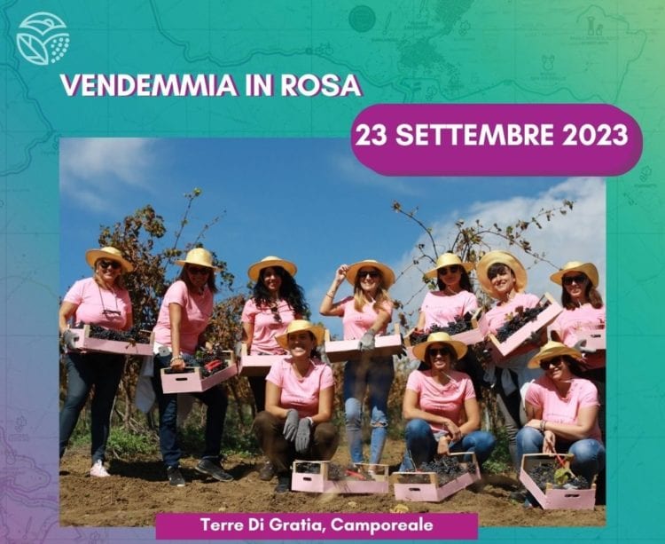 "Vendemmia in Rosa" evento di solidarietà alle donne vittime di violenza