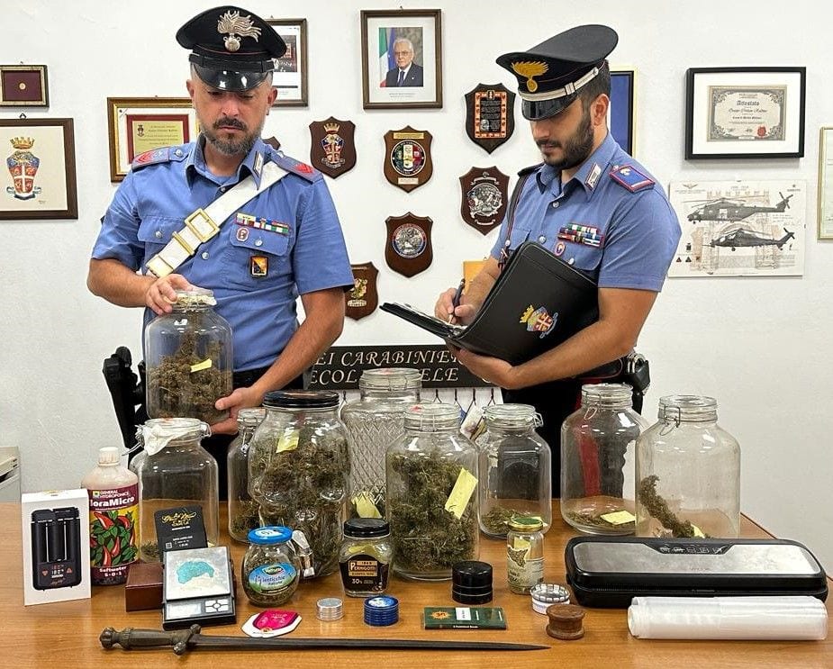 Coltivazione di marijuana in una serra. Arrestato 33enne a Pioppo