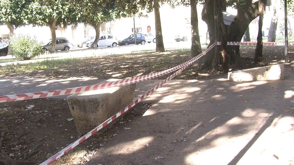 Albero pericolante, interdetta piazzola centrale della villa ‘Pittore Renda’ ad Alcamo