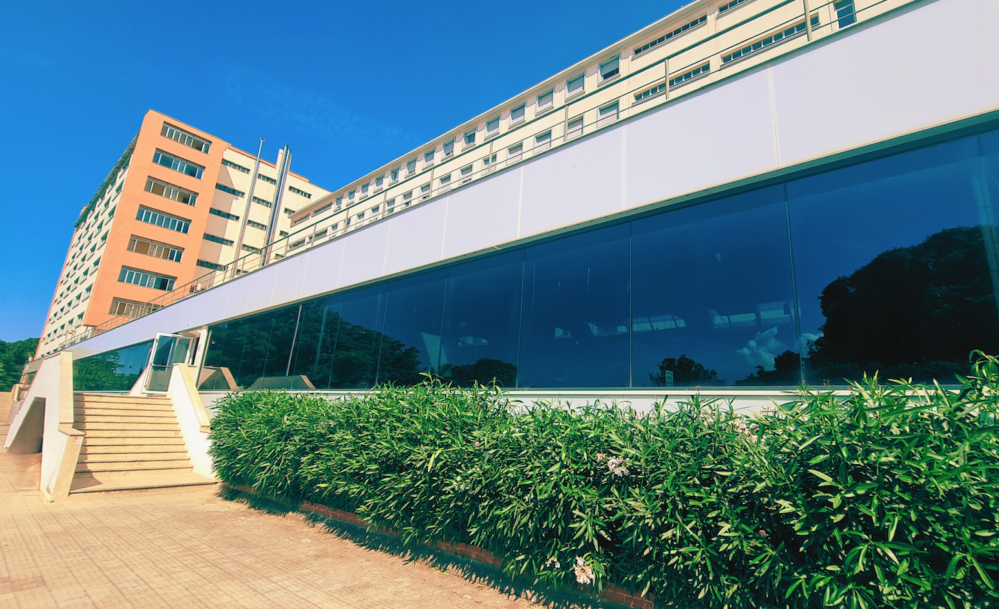 Università di Palermo, corsi di preparazione per ingresso in medicina