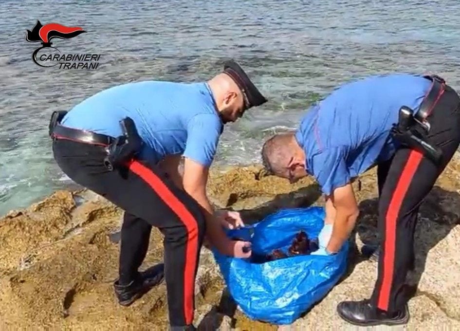 Oltre 150 ricci di mare appena pescati. Denunciato 54enne di Favignana