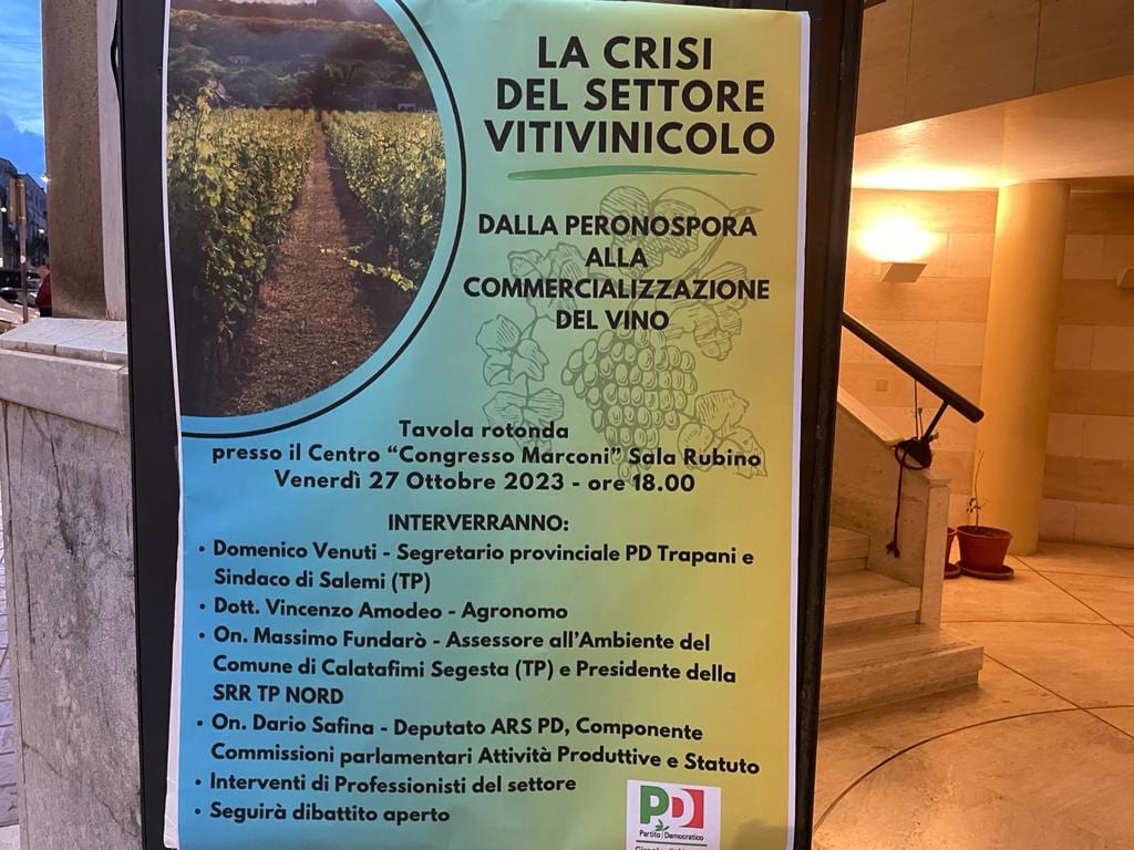 Crisi vitivinicola, le propose del PD per trovare 50 milioni da dare ai vitivinicoltori (INTERVISTA)