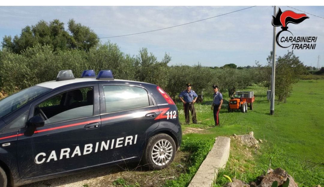 Denunciata 71enne di Salemi per furto di olive a Castellammare del Golfo