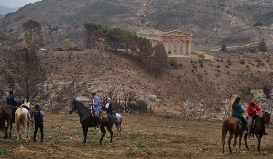 ‘Raduno Equestre’, oltre 50 cavalli a Segesta. Racconti, luoghi storici e gastronomia (INTERVISTA)
