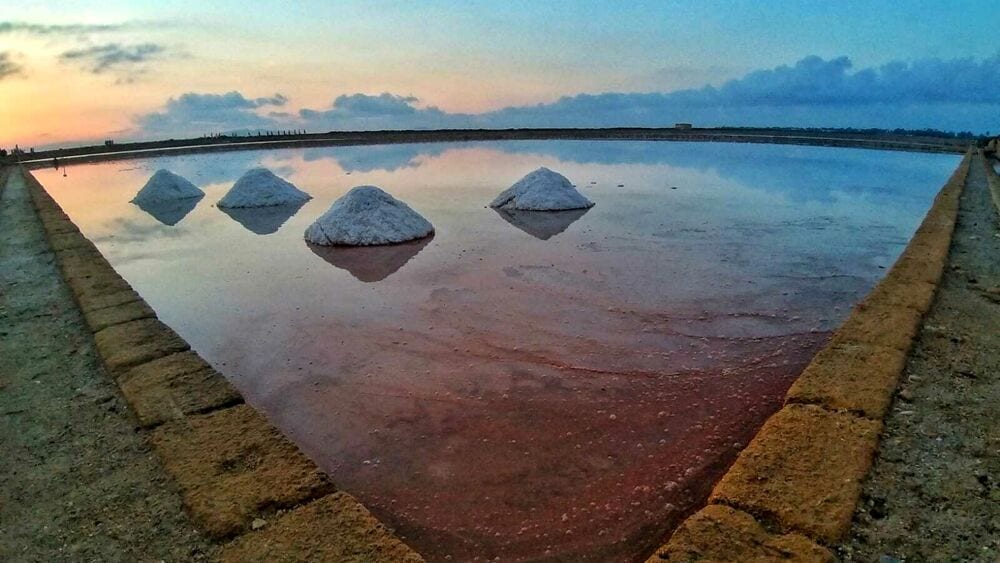 Le Saline Genna di Marsala verso certificazione bio, il prossimo anno avranno l'euro leaf