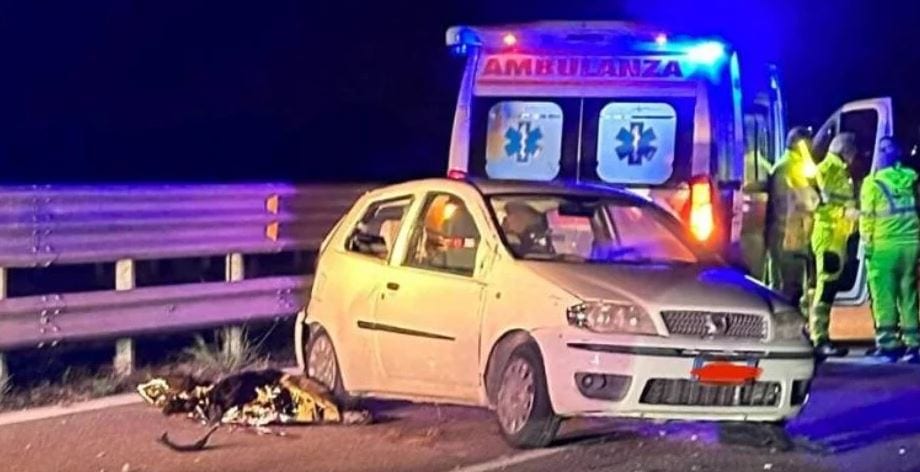 Incidente sulla A/29 nel fine settimana, è morta la 71enne Giovanna Mandalà